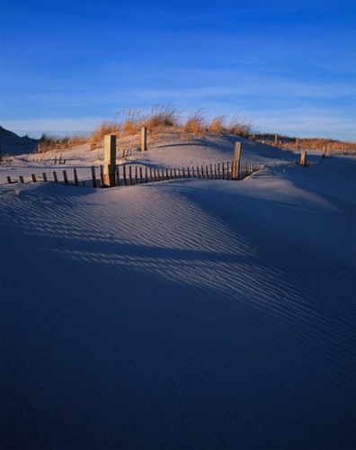 Dunes, February, Island Beach State Park, Ocean County, NJ (MF).jpg